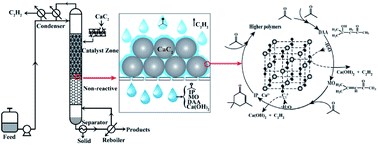 Graphical abstract: Aldol condensation of refluxing acetone on CaC2 achieves efficient coproduction of diacetone alcohol, mesityl oxide and isophorone