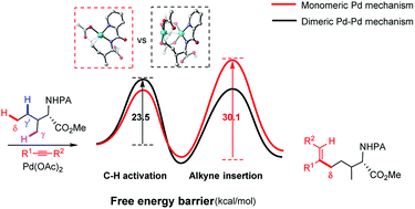 Graphical abstract: Computational study on palladium-catalyzed alkenylation of remote δ-C(sp3)–H bonds with alkynes: a new understanding of mechanistic insight and origins of site-selectivity