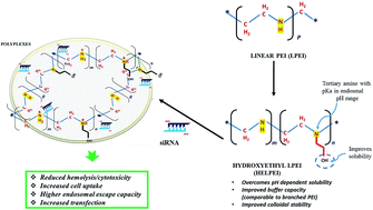 Graphical abstract: Hydroxyethyl substituted linear polyethylenimine for safe and efficient delivery of siRNA therapeutics