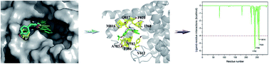 Graphical abstract: Exploring the binding mechanisms of PDE5 with chromeno[2,3-c]pyrrol-9(2H)-one by theoretical approaches