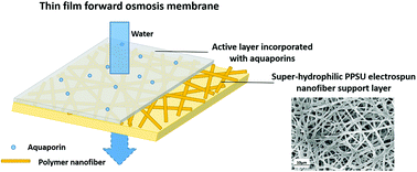 Graphical abstract: Preparation of super-hydrophilic polyphenylsulfone nanofiber membranes for water treatment