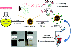 Graphical abstract: Biocompatible zwitterionic copolymer-stabilized magnetite nanoparticles: a simple one-pot synthesis, antifouling properties and biomagnetic separation