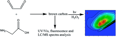 Graphical abstract: Formation and photochemical properties of aqueous brown carbon through glyoxal reactions with glycine