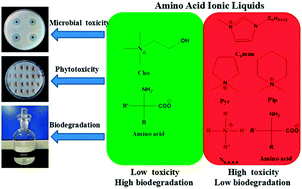 Graphical abstract: Assessment of the toxicity and biodegradation of amino acid-based ionic liquids