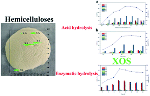 Graphical abstract: Evaluation of xylooligosaccharide production from residual hemicelluloses of dissolving pulp by acid and enzymatic hydrolysis