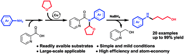 Graphical abstract: An efficient and atom-economical route to N-aryl amino alcohols from primary amines