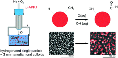 Graphical abstract: Hydroxylation and self-assembly of colloidal hydrogenated nanodiamonds by aqueous oxygen radicals from atmospheric pressure plasma jet
