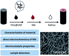 Graphical abstract: Electrochemical performance of myoglobin based on TiO2-doped carbon nanofiber decorated electrode and its applications in biosensing