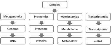 Graphical abstract: Gut microbiota as important modulator of metabolism in health and disease