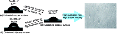 Graphical abstract: Dropwise condensation on bioinspired hydrophilic-slippery surface