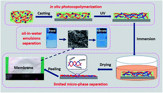 Graphical abstract: Superhydrophilic fluorinated polyarylate membranes via in situ photocopolymerization and microphase separation for efficient separation of oil-in-water emulsion