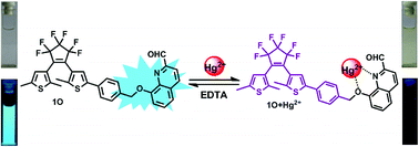 Graphical abstract: A colorimetric and fluorescent chemosensor for Hg2+ based on a photochromic diarylethene with a quinoline unit