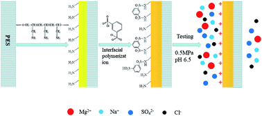 Graphical abstract: An acid-stable positively charged polysulfonamide nanofiltration membrane prepared by interfacial polymerization of polyallylamine and 1,3-benzenedisulfonyl chloride for water treatment