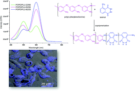 Graphical abstract: Microwave-assisted facile synthesis of poly(luminol-co-phenylenediamine) copolymers and their potential application in biomedical imaging