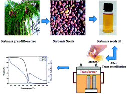 Graphical abstract: Preparation, characterization and feasibility analysis of methyl ester of Sesbania seeds oil (MESSO) as alternate liquid dielectrics in distribution transformers