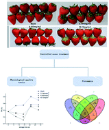 Graphical abstract: Label-free quantitative proteomics to investigate the response of strawberry fruit after controlled ozone treatment