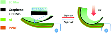 Graphical abstract: A NIR light-triggered pyroelectric-dominated generator based on a liquid crystal elastomer composite actuator for photoelectric conversion and self-powered sensing