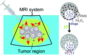 Graphical abstract: Eccentric magnetic microcapsules for MRI-guided local administration and pH-regulated drug release