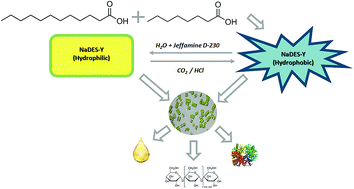 Graphical abstract: A novel switchable-hydrophilicity, natural deep eutectic solvent (NaDES)-based system for bio-safe biorefinery