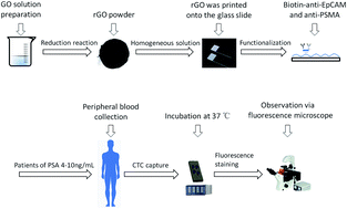 Graphical abstract: Antibody-modified reduced graphene oxide film for circulating tumor cell detection in early-stage prostate cancer patients