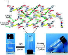 Graphical abstract: A pH-/thermo-responsive hydrogel formed from N,N′-dibenzoyl-l-cystine: properties, self-assembly structure and release behavior of SA
