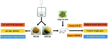 Graphical abstract: Structural characterization of polysaccharides from Cordyceps militaris and their hypolipidemic effects in high fat diet fed mice