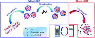 Graphical abstract: Thermoresponsive 2-hydroxy-3-isopropoxypropyl hydroxyethyl cellulose with tunable LCST for drug delivery