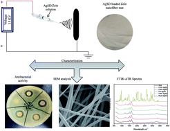 Graphical abstract: Silver sulfadiazine loaded zein nanofiber mats as a novel wound dressing