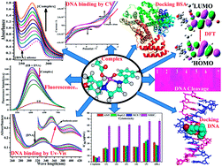Graphical abstract: Spectro-electrochemical assessments of DNA/BSA interactions, cytotoxicity, radical scavenging and pharmacological implications of biosensitive and biologically active morpholine-based metal(ii) complexes: a combined experimental and computational investigation