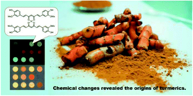 Graphical abstract: Paper-based chemical reaction arrays as an effective tool for geographical indication of turmerics