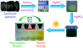 Graphical abstract: Green synthesis of a AgCl@AgI nanocomposite using Laminaria japonica extract and its application as a visible-light-driven photocatalyst