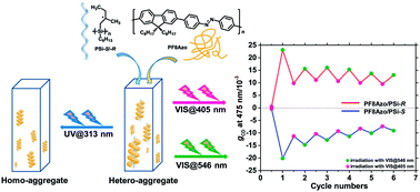 Graphical abstract: Aggregation-induced chiroptical generation and photoinduced switching of achiral azobenzene-alt-fluorene copolymer endowed with left- and right-handed helical polysilanes