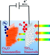 Graphical abstract: Photoelectrochemical study of carbon-modified p-type Cu2O nanoneedles and n-type TiO2−x nanorods for Z-scheme solar water splitting in a tandem cell configuration