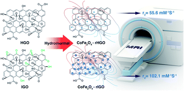 Graphical abstract: Cobalt ferrite supported on reduced graphene oxide as a T2 contrast agent for magnetic resonance imaging