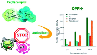 Graphical abstract: Experimental and theoretical evaluation on the antioxidant activity of a copper(ii) complex based on lidocaine and ibuprofen amide-phenanthroline agents
