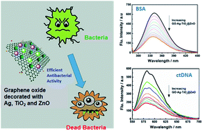 Graphical abstract: Graphene oxide decorated with zinc oxide nanoflower, silver and titanium dioxide nanoparticles: fabrication, characterization, DNA interaction, and antibacterial activity