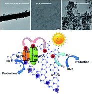 Graphical abstract: Ag3PO4 nanocrystals and g-C3N4 quantum dots decorated Ag2WO4 nanorods: ternary nanoheterostructures for photocatalytic degradation of organic contaminants in water