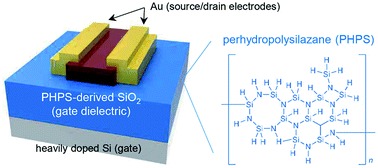 Graphical abstract: Intense-pulsed-UV-converted perhydropolysilazane gate dielectrics for organic field-effect transistors and logic gates