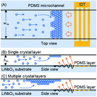 Graphical abstract: Microparticle self-assembly induced by travelling surface acoustic waves