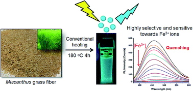 Graphical abstract: Miscanthus grass-derived carbon dots to selectively detect Fe3+ ions