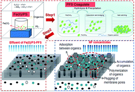 Graphical abstract: Performance and properties of coking nanofiltration concentrate treatment and membrane fouling mitigation by an Fe(ii)/persulfate-coagulation-ultrafiltration process