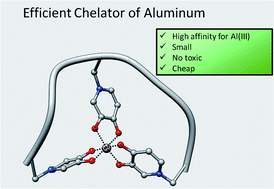 Graphical abstract: In silico design of mimosine containing peptides as new efficient chelators of aluminum