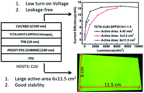 Graphical abstract: Leakage-free solution-processed organic light-emitting diode using a ternary host with single-diode emission area up to 6 × 11.5 cm2