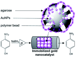 Graphical abstract: Green synthesis and in situ immobilization of gold nanoparticles and their application for the reduction of p-nitrophenol in continuous-flow mode