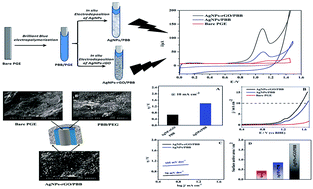 Graphical abstract: Enhancement effect of reduced graphene oxide and silver nanocomposite supported on poly brilliant blue platform for ultra-trace voltammetric analysis of rosuvastatin in tablets and human plasma