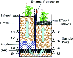 Graphical abstract: Organic matter and ammonia removal by a novel integrated process of constructed wetland and microbial fuel cells
