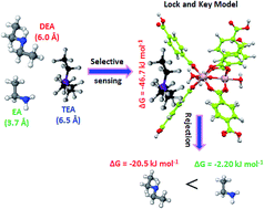 Graphical abstract: Validation of ‘lock-and-key’ mechanism of a metal–organic framework in selective sensing of triethylamine