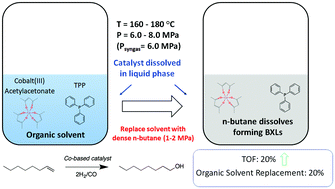 Graphical abstract: Enhanced hydroformylation of 1-octene in n-butane expanded solvents with Co-based complexes