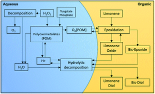 Graphical abstract: Development of a selective, solvent-free epoxidation of limonene using hydrogen peroxide and a tungsten-based catalyst