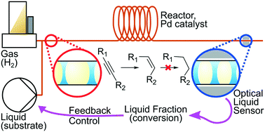 Graphical abstract: Counting bubbles: precision process control of gas–liquid reactions in flow with an optical inline sensor
